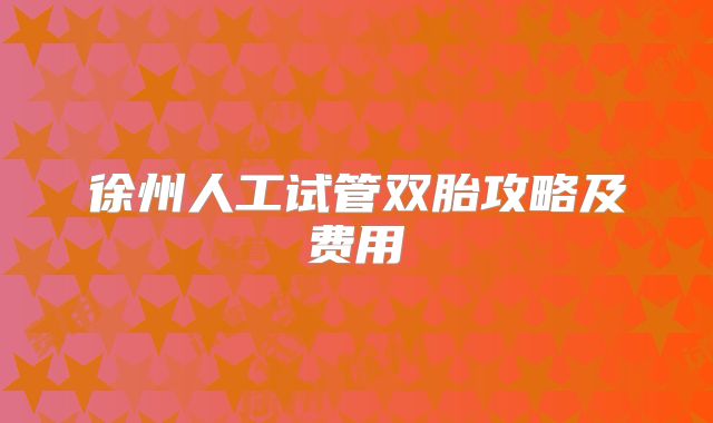 徐州人工试管双胎攻略及费用