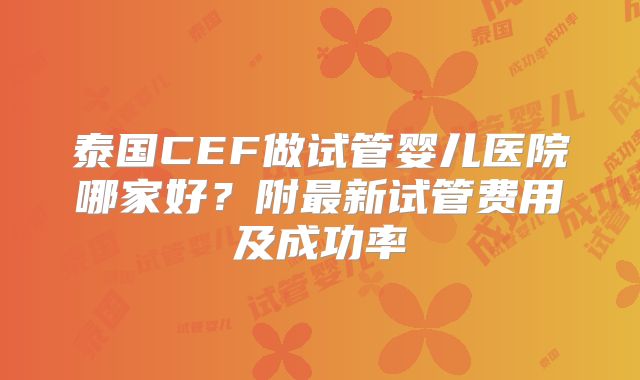 泰国CEF做试管婴儿医院哪家好？附最新试管费用及成功率