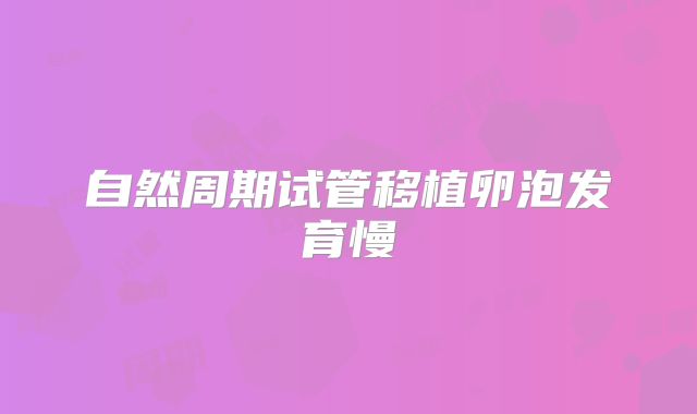 自然周期试管移植卵泡发育慢