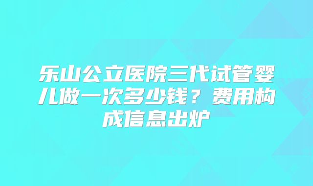 乐山公立医院三代试管婴儿做一次多少钱？费用构成信息出炉