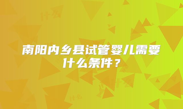 南阳内乡县试管婴儿需要什么条件？