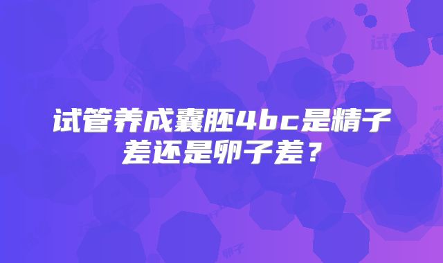 试管养成囊胚4bc是精子差还是卵子差?