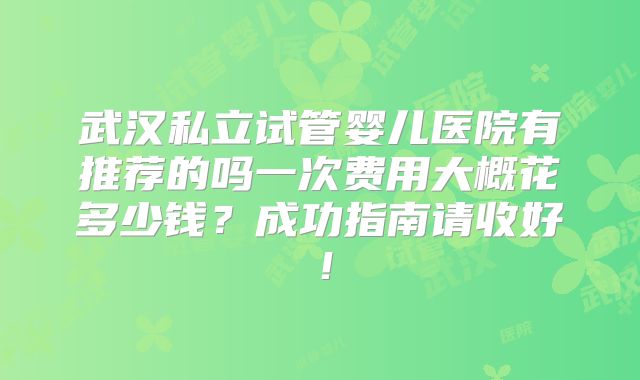 武汉私立试管婴儿医院有推荐的吗一次费用大概花多少钱？成功指南请收好！