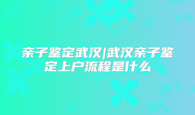 亲子鉴定武汉|武汉亲子鉴定上户流程是什么