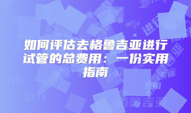 如何评估去格鲁吉亚进行试管的总费用:一份实用指南