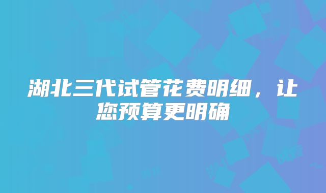 湖北三代试管花费明细，让您预算更明确