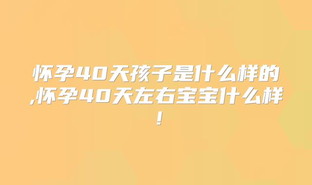 怀孕40天孩子是什么样的,怀孕40天左右宝宝什么样！
