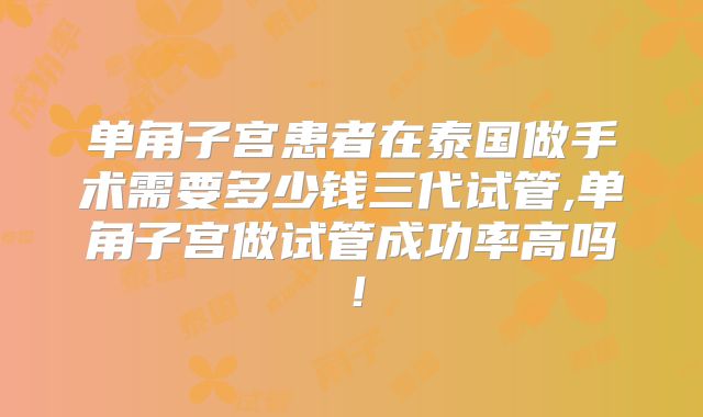 单角子宫患者在泰国做手术需要多少钱三代试管,单角子宫做试管成功率高吗！