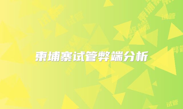 柬埔寨试管弊端分析