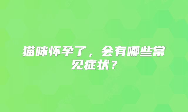 猫咪怀孕了，会有哪些常见症状？