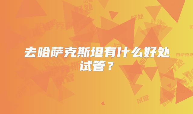 去哈萨克斯坦有什么好处试管?