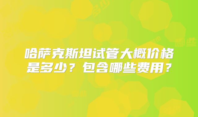 哈萨克斯坦试管大概价格是多少?包含哪些费用?
