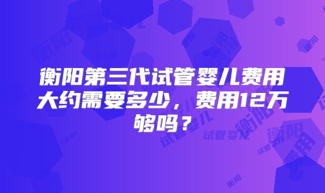 衡阳第三代试管婴儿费用大约需要多少,费用12万够吗?