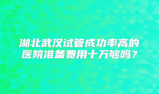 湖北武汉试管成功率高的医院准备费用十万够吗?