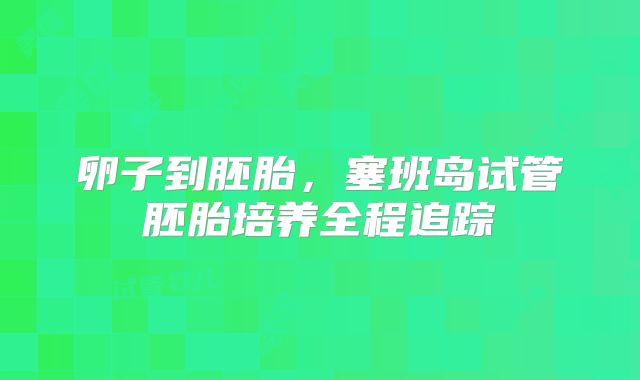 卵子到胚胎，塞班岛试管胚胎培养全程追踪
