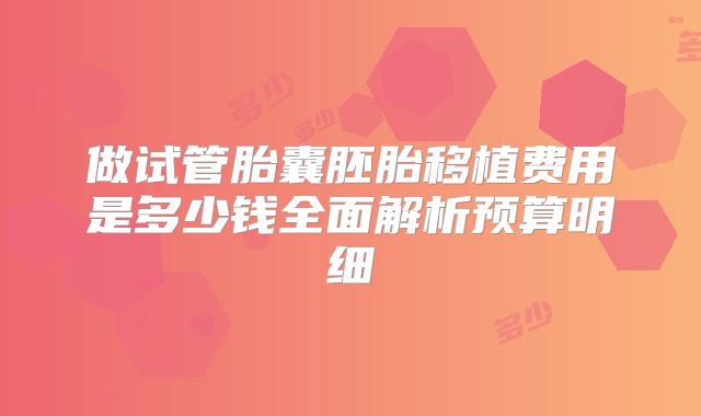 做试管胎囊胚胎移植费用是多少钱全面解析预算明细