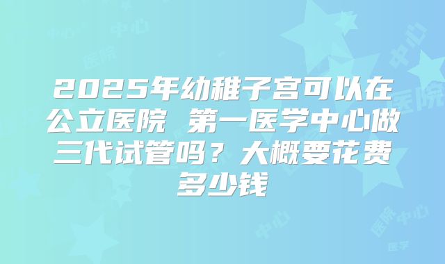 2025年幼稚子宫可以在公立医院 第一医学中心做三代试管吗？大概要花费多少钱