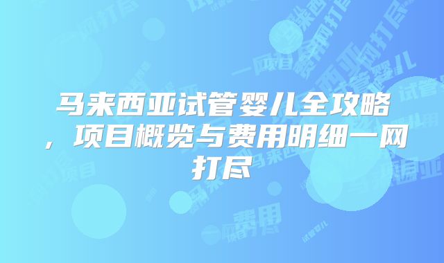 马来西亚试管婴儿全攻略，项目概览与费用明细一网打尽