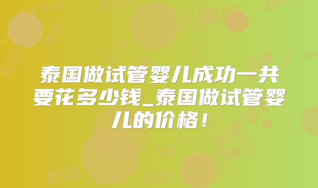 泰国做试管婴儿成功一共要花多少钱_泰国做试管婴儿的价格!