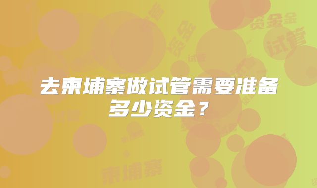 去柬埔寨做试管需要准备多少资金？