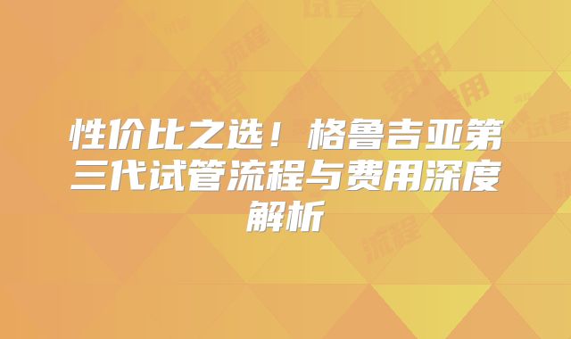 性价比之选!格鲁吉亚第三代试管流程与费用深度解析
