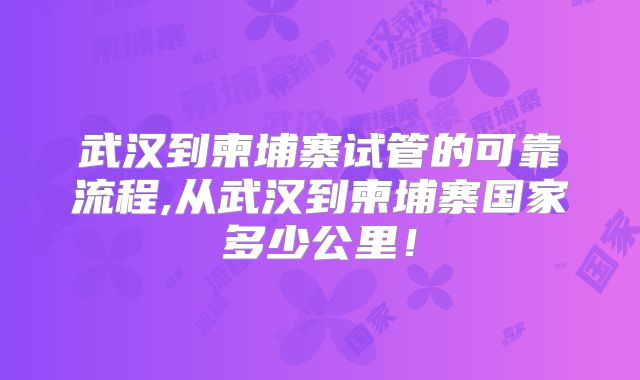 武汉到柬埔寨试管的可靠流程,从武汉到柬埔寨国家多少公里!