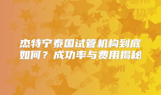 杰特宁泰国试管机构到底如何？成功率与费用揭秘