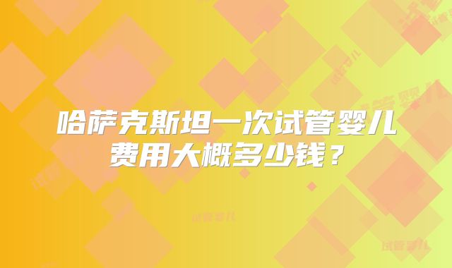 哈萨克斯坦一次试管婴儿费用大概多少钱?