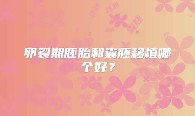 卵裂期胚胎和囊胚移植哪个好？