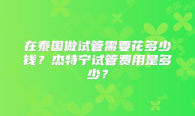 在泰国做试管需要花多少钱？杰特宁试管费用是多少？