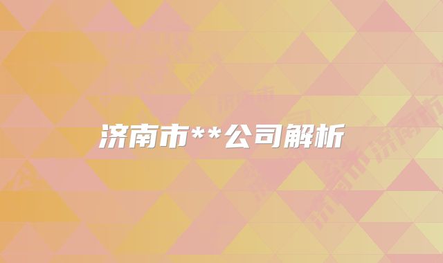济南市**公司解析