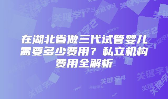 在湖北省做三代试管婴儿需要多少费用？私立机构费用全解析