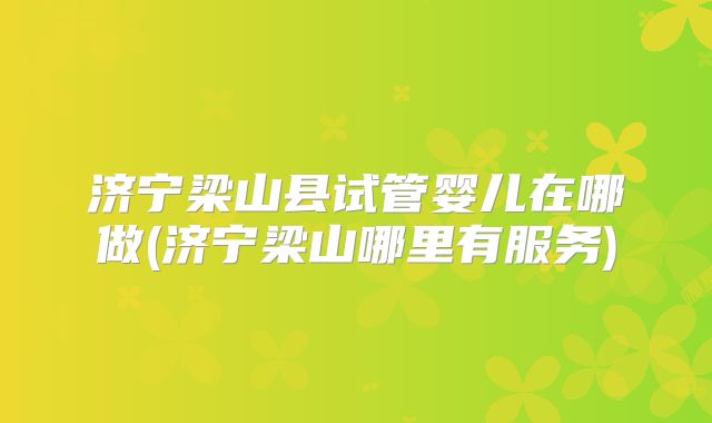 济宁梁山县试管婴儿在哪做(济宁梁山哪里有服务)