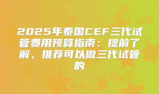 2025年泰国CEF三代试管费用预算指南：提前了解，推荐可以做三代试管的