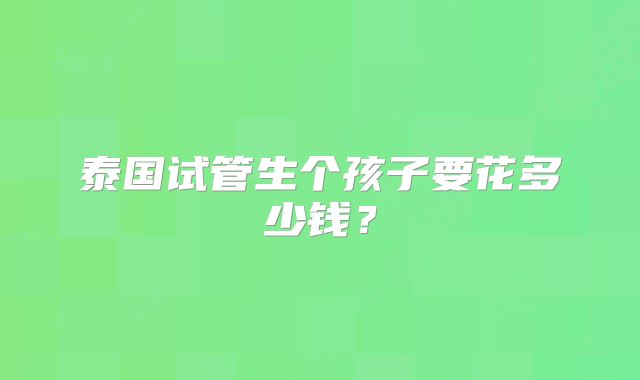泰国试管生个孩子要花多少钱？
