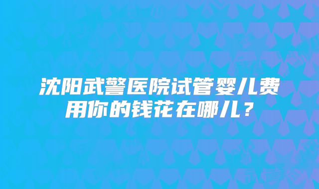 沈阳武警医院试管婴儿费用你的钱花在哪儿？