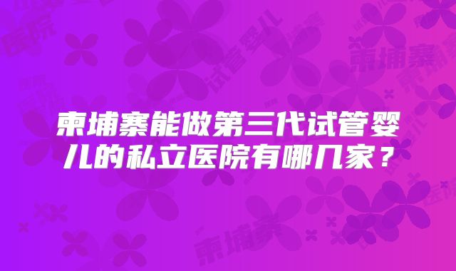 柬埔寨能做第三代试管婴儿的私立医院有哪几家？