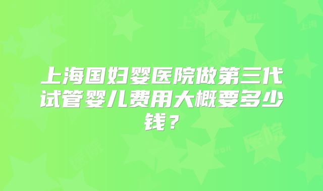 上海国妇婴医院做第三代试管婴儿费用大概要多少钱？
