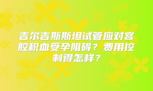 吉尔吉斯斯坦试管应对宫腔积血受孕阻碍?费用控制得怎样?