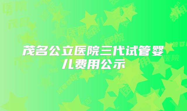 茂名公立医院三代试管婴儿费用公示