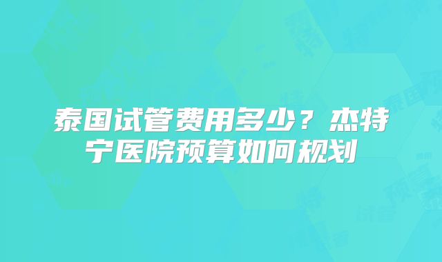 泰国试管费用多少？杰特宁医院预算如何规划