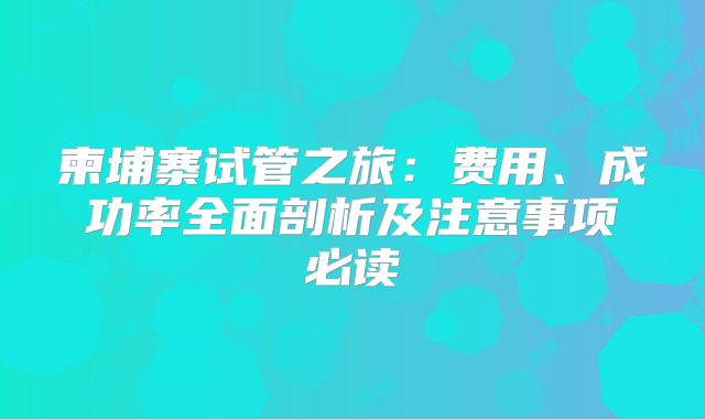 柬埔寨试管之旅：费用、成功率全面剖析及注意事项必读