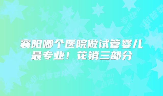 襄阳哪个医院做试管婴儿最专业！花销三部分