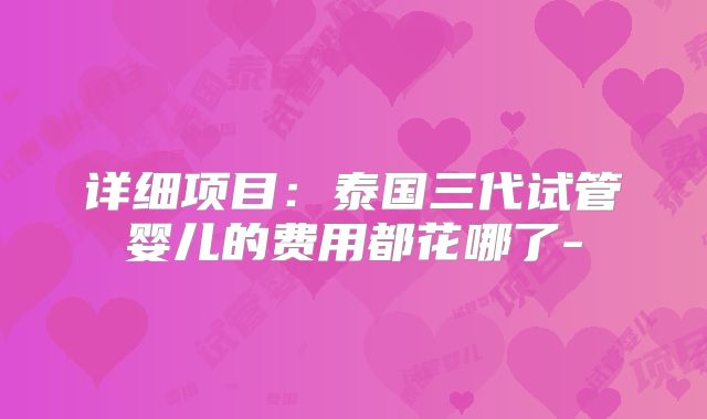 详细项目：泰国三代试管婴儿的费用都花哪了-