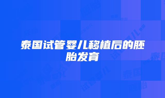 泰国试管婴儿移植后的胚胎发育