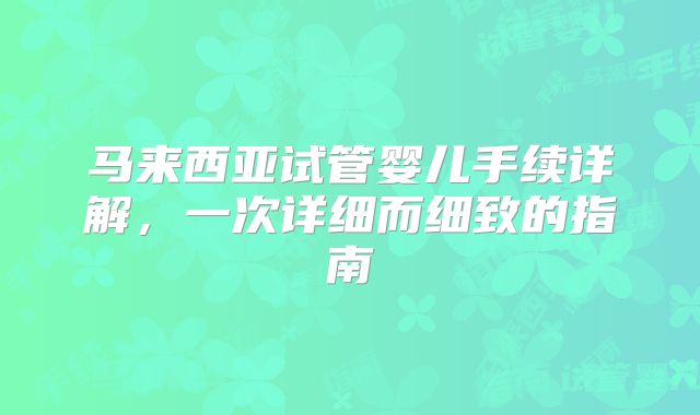 马来西亚试管婴儿手续详解，一次详细而细致的指南