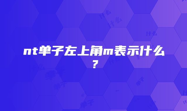 nt单子左上角m表示什么?