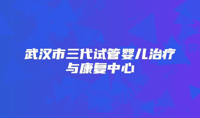 武汉市三代试管婴儿治疗与康复中心