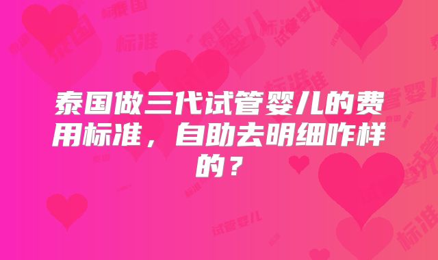 泰国做三代试管婴儿的费用标准，自助去明细咋样的？