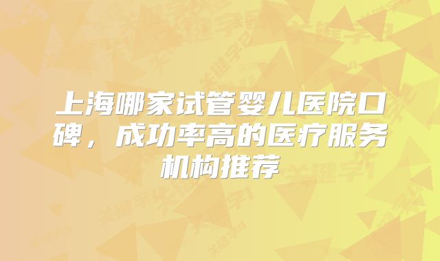 上海哪家试管婴儿医院口碑，成功率高的医疗服务机构推荐